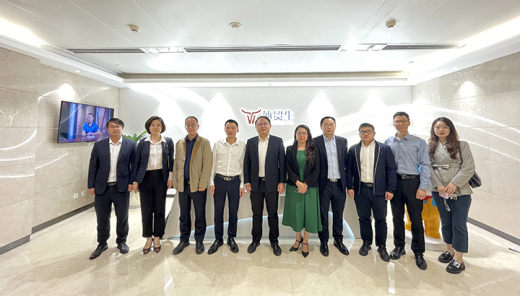 外贸牛与陆海新通道联合优势，携手推动企业品牌走向全球