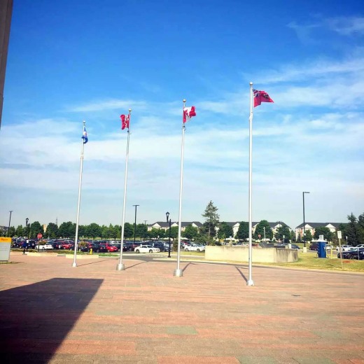 [加拿大站]政府助力 外贸牛出席中加跨境经贸企业交流会